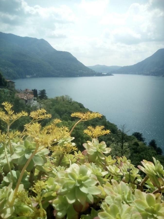 Casa Del Borgo Villa Pognana Lario Eksteriør bilde
